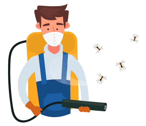 TRI Home Services Termite Infestation Treatment